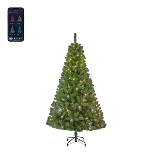 Black Box Trees Slimme Verlichting Kerstboom - 115x115x185 Cm - Groen
